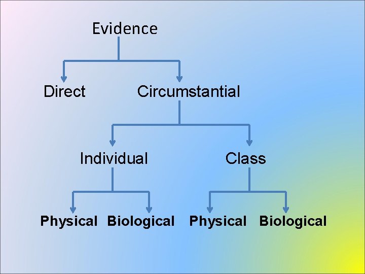 Evidence Direct Circumstantial Individual Physical Biological Class Physical Biological 