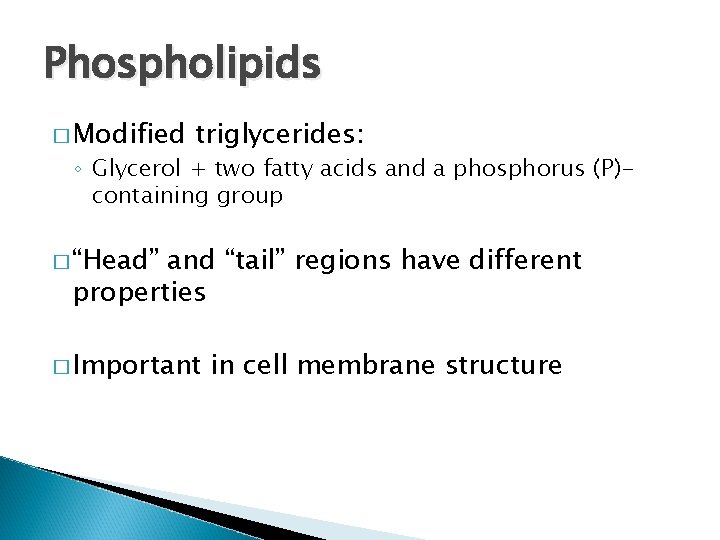 Phospholipids � Modified triglycerides: ◦ Glycerol + two fatty acids and a phosphorus (P)containing