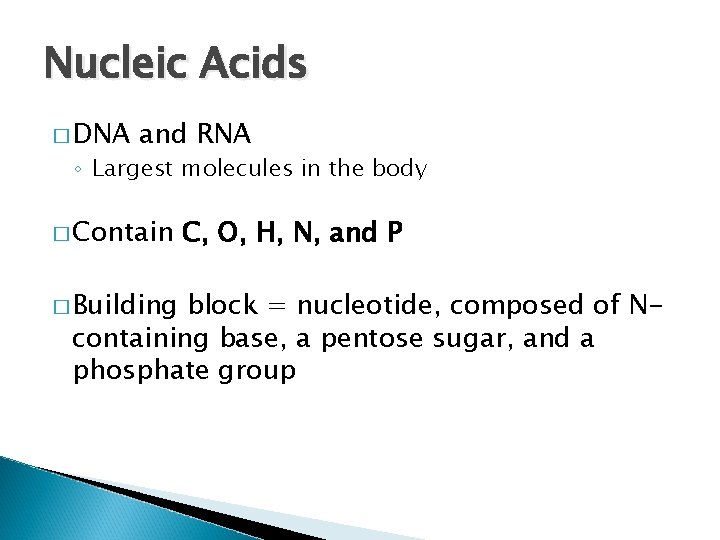 Nucleic Acids � DNA and RNA ◦ Largest molecules in the body � Contain