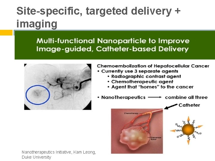 Site-specific, targeted delivery + imaging Nanotherapeutics Initiative, Kam Leong, Duke University 
