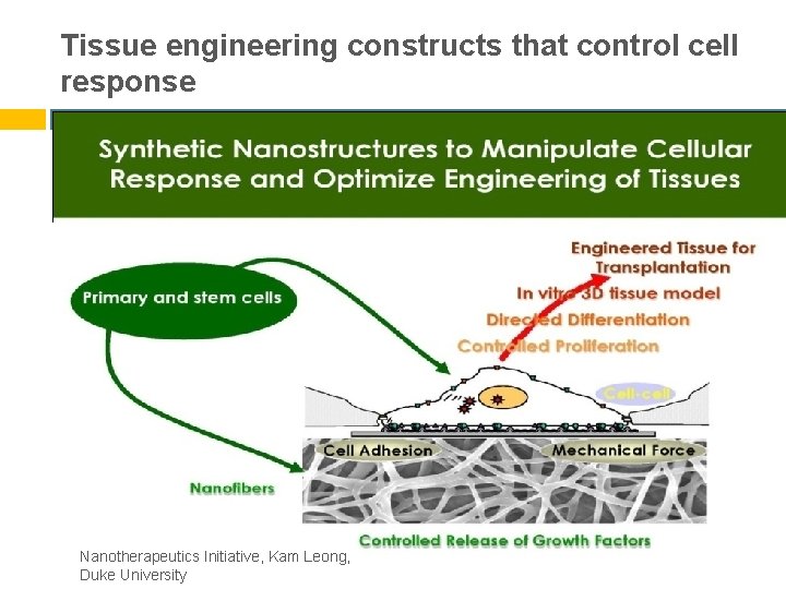Tissue engineering constructs that control cell response Nanotherapeutics Initiative, Kam Leong, Duke University 