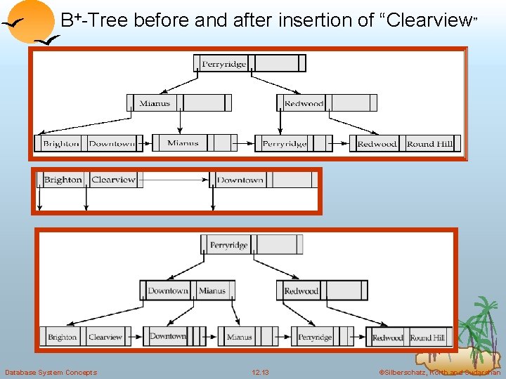 B+-Tree before and after insertion of “Clearview” Database System Concepts 12. 13 ©Silberschatz, Korth