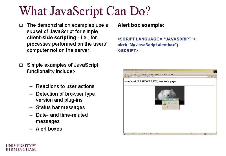 What Java. Script Can Do? o o The demonstration examples use a subset of