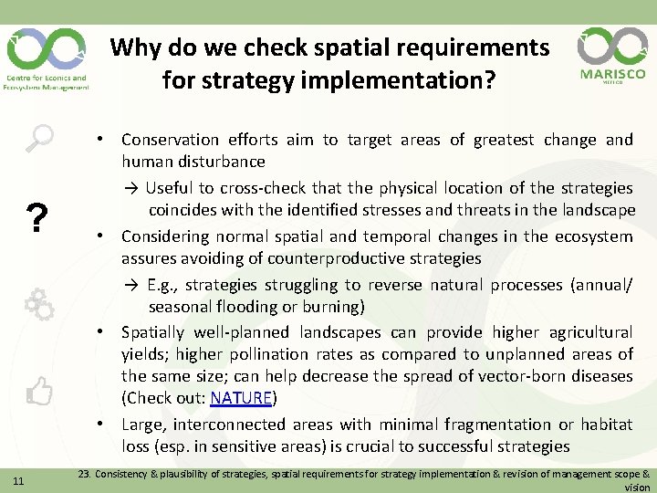 Why do we check spatial requirements for strategy implementation? ? 11 • Conservation efforts