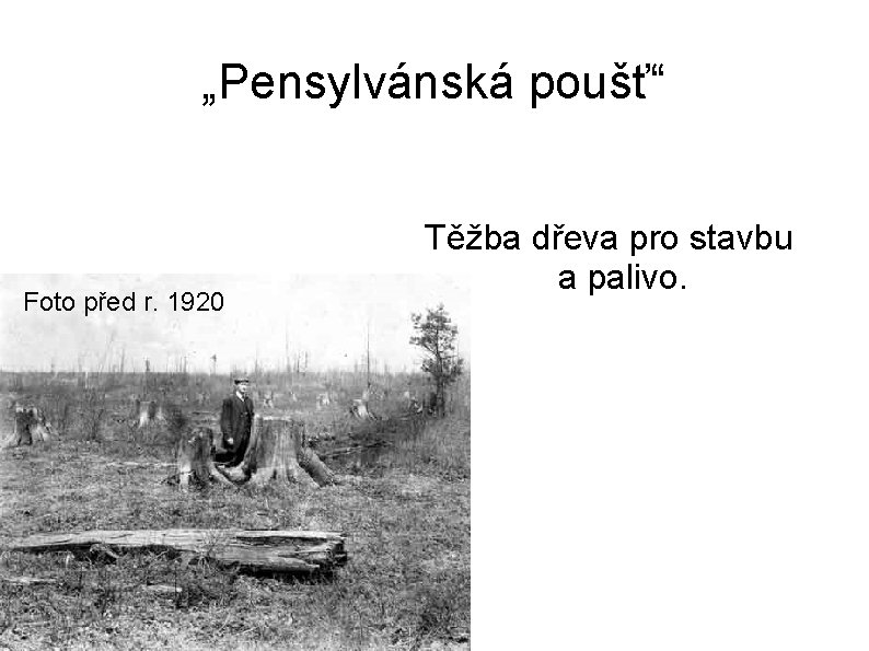 „Pensylvánská poušť“ Foto před r. 1920 Těžba dřeva pro stavbu a palivo. 