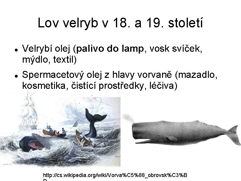 Lov velryb v 18. a 19. století Velrybí olej (palivo do lamp, vosk svíček,