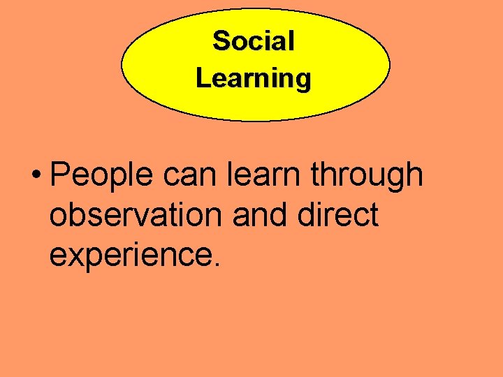 Social Learning • People can learn through observation and direct experience. 
