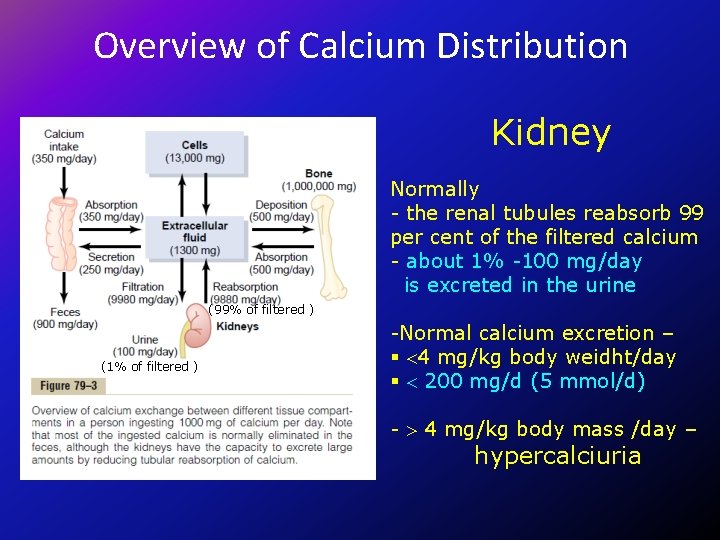 Overview of Calcium Distribution Kidney Normally - the renal tubules reabsorb 99 per cent
