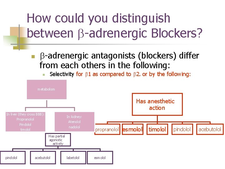 How could you distinguish between b-adrenergic Blockers? n b-adrenergic antagonists (blockers) differ from each