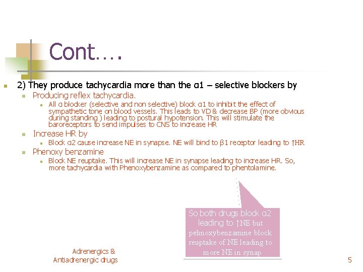 Cont…. n 2) They produce tachycardia more than the α 1 – selective blockers