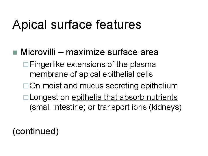 Apical surface features n Microvilli – maximize surface area ¨ Fingerlike extensions of the