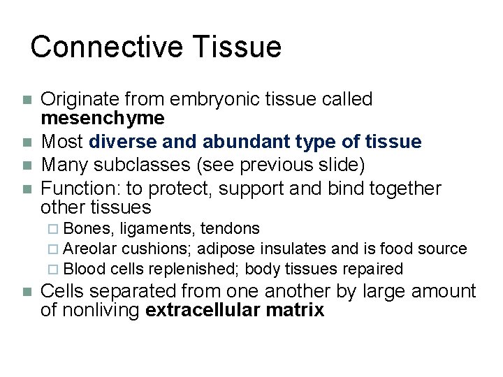 Connective Tissue n n Originate from embryonic tissue called mesenchyme Most diverse and abundant