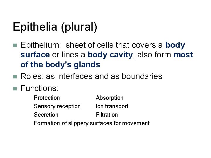 Epithelia (plural) n n n Epithelium: sheet of cells that covers a body surface