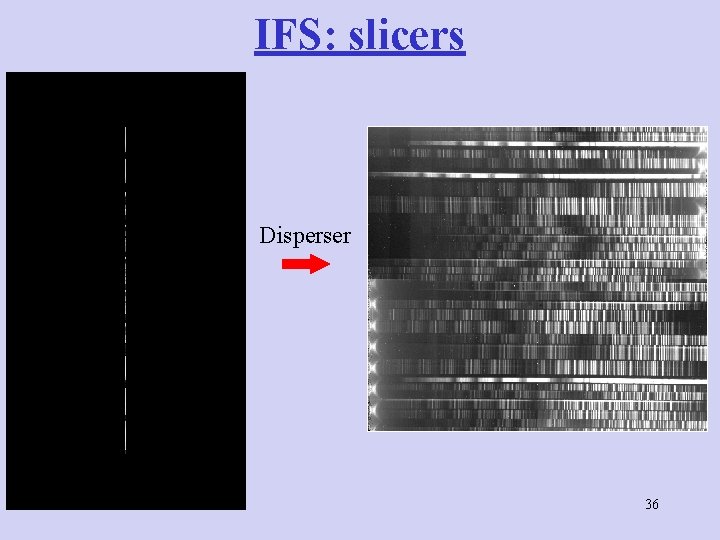 IFS: slicers Disperser 36 