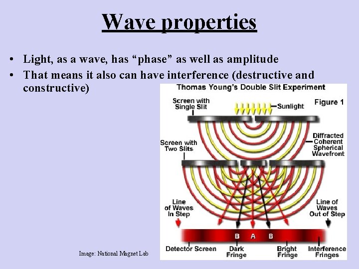 Wave properties • Light, as a wave, has “phase” as well as amplitude •