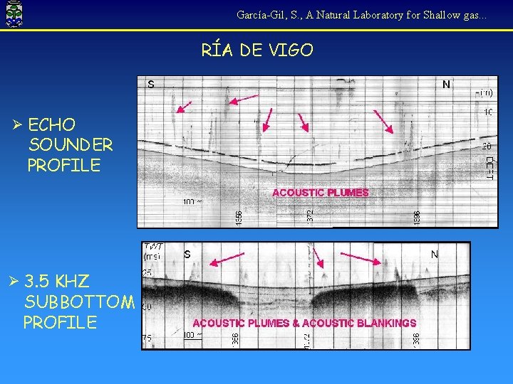 García-Gil, S. , A Natural Laboratory for Shallow gas. . . RÍA DE VIGO
