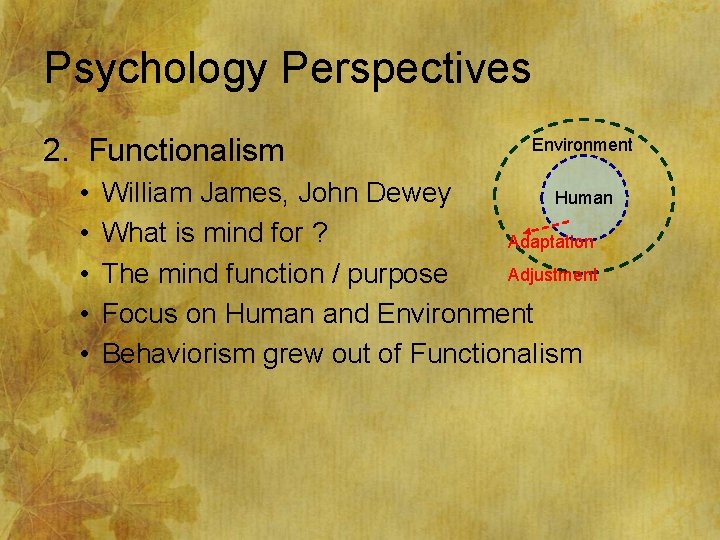 Psychology Perspectives 2. Functionalism • • • Environment William James, John Dewey Human What