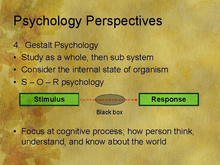 Psychology Perspectives 4. Gestalt Psychology • Study as a whole, then sub system •