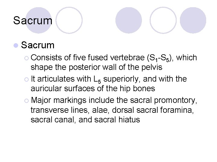 Sacrum l Sacrum ¡ Consists of five fused vertebrae (S 1 -S 5), which