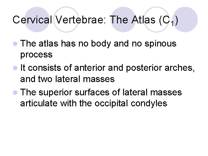 Cervical Vertebrae: The Atlas (C 1) l The atlas has no body and no