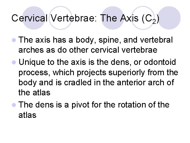 Cervical Vertebrae: The Axis (C 2) l The axis has a body, spine, and