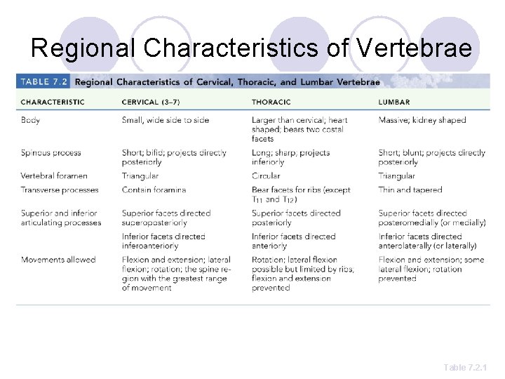 Regional Characteristics of Vertebrae Table 7. 2. 1 