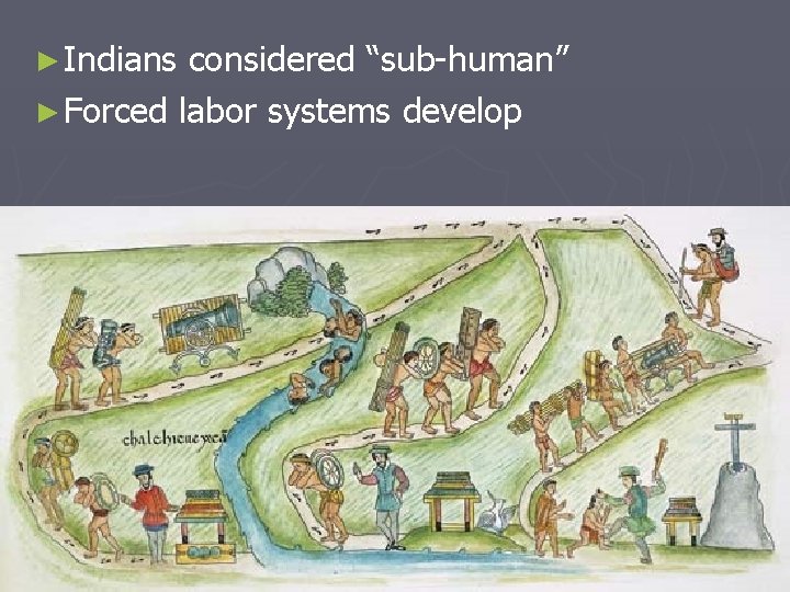 ► Indians considered “sub-human” ► Forced labor systems develop 