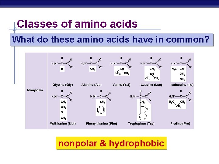 Classes of amino acids What do these amino acids have in common? nonpolar &