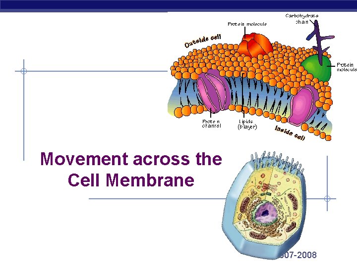 Movement across the Cell Membrane 2007 -2008 