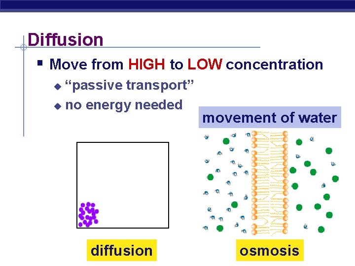 Diffusion § Move from HIGH to LOW concentration “passive transport” u no energy needed