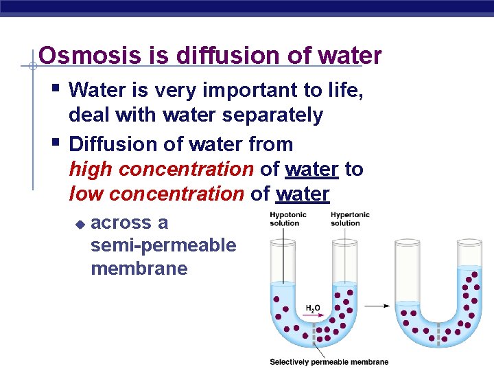 Osmosis is diffusion of water § Water is very important to life, § deal