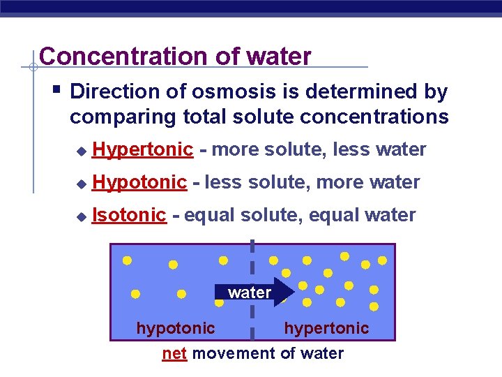 Concentration of water § Direction of osmosis is determined by comparing total solute concentrations