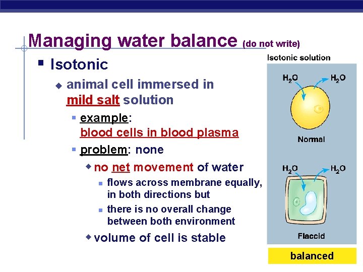 Managing water balance (do not write) § Isotonic u animal cell immersed in mild