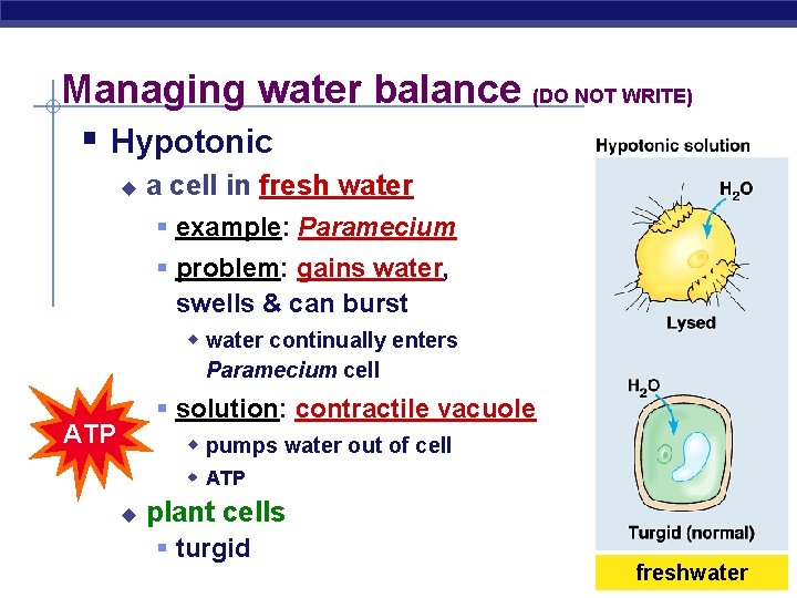 Managing water balance (DO NOT WRITE) § Hypotonic u a cell in fresh water