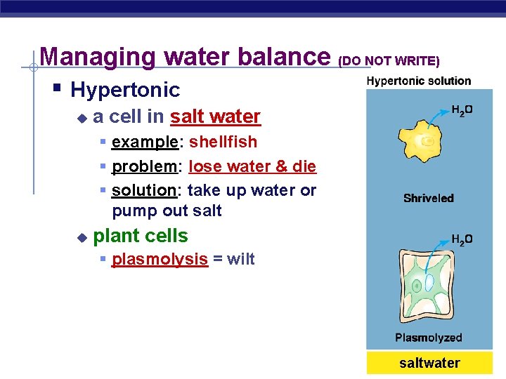 Managing water balance (DO NOT WRITE) § Hypertonic u a cell in salt water