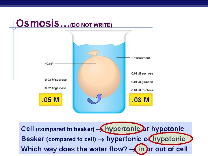 Osmosis…(DO NOT WRITE) . 05 M . 03 M Cell (compared to beaker) hypertonic