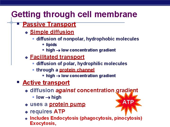 Getting through cell membrane § Passive Transport u Simple diffusion § diffusion of nonpolar,