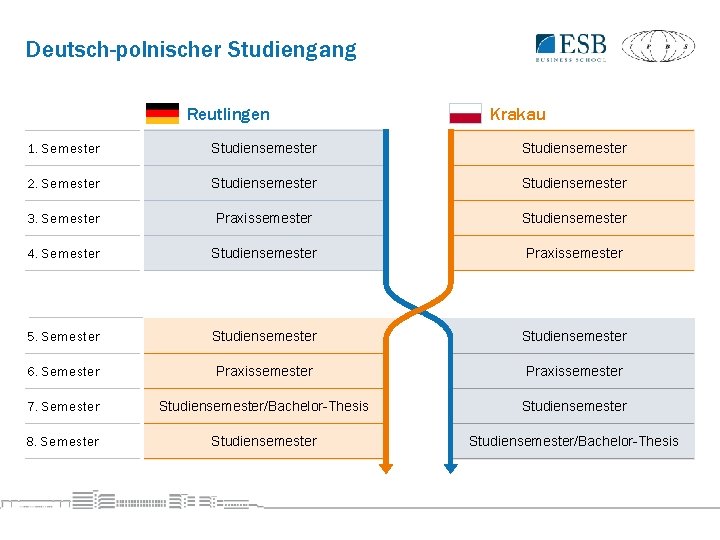 Deutsch-polnischer Studiengang Reutlingen Krakau 1. Semester Studiensemester 2. Semester Studiensemester 3. Semester Praxissemester Studiensemester