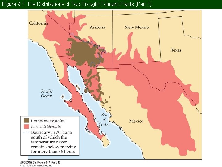 Figure 9. 7 The Distributions of Two Drought-Tolerant Plants (Part 1) 