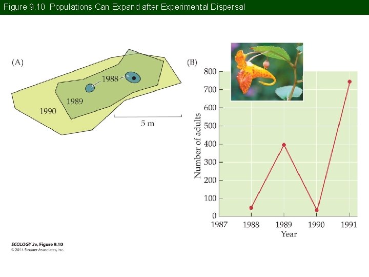 Figure 9. 10 Populations Can Expand after Experimental Dispersal 
