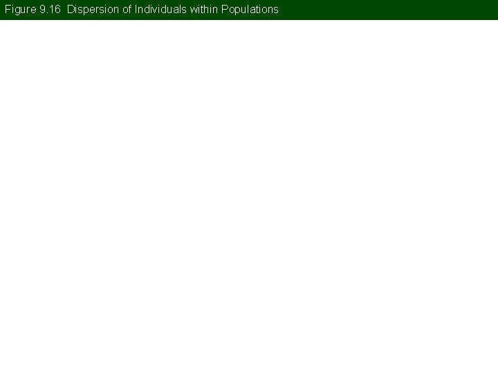 Figure 9. 16 Dispersion of Individuals within Populations 