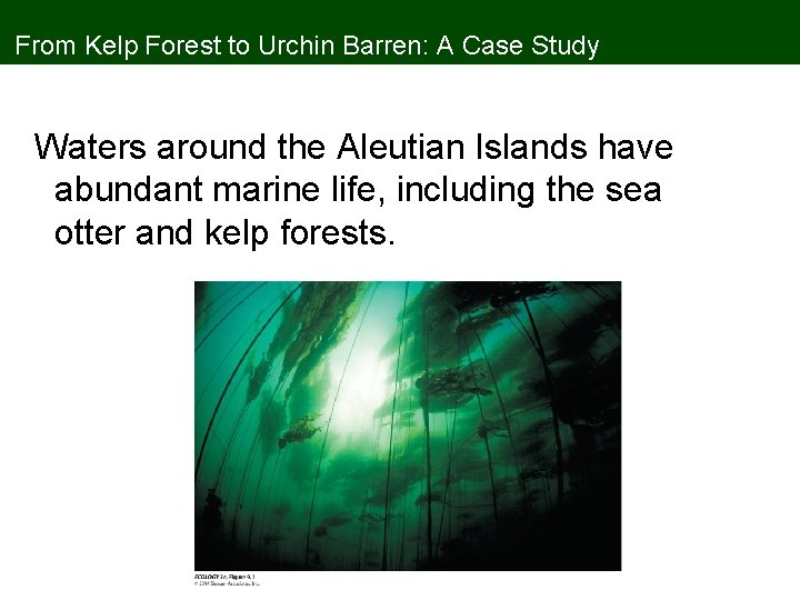 From Kelp Forest to Urchin Barren: A Case Study Waters around the Aleutian Islands