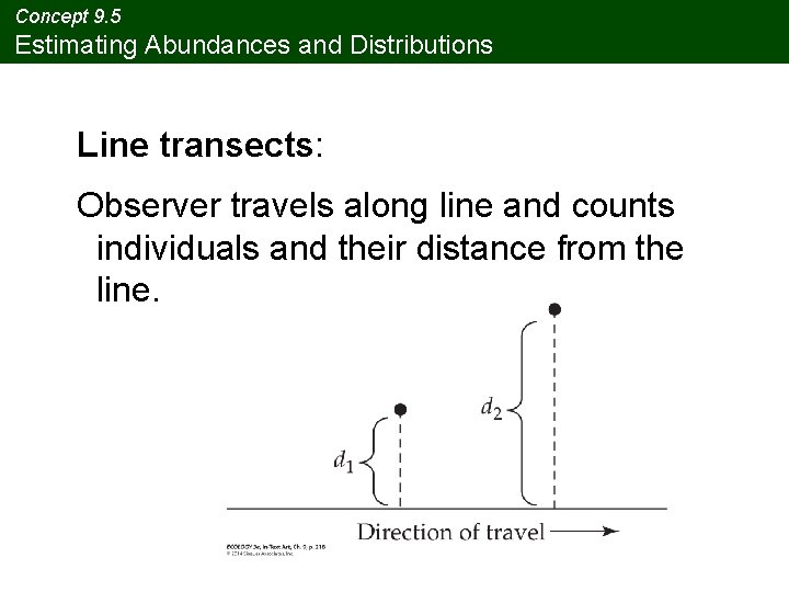 Concept 9. 5 Estimating Abundances and Distributions Line transects: Observer travels along line and