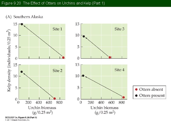 Figure 9. 20 The Effect of Otters on Urchins and Kelp (Part 1) 