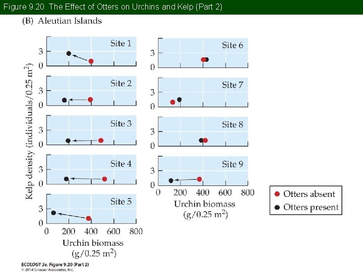Figure 9. 20 The Effect of Otters on Urchins and Kelp (Part 2) 