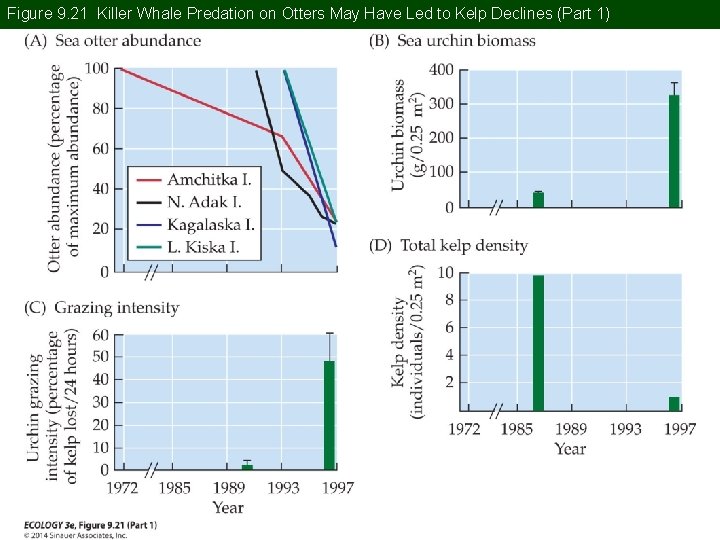 Figure 9. 21 Killer Whale Predation on Otters May Have Led to Kelp Declines