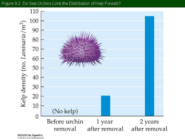 Figure 9. 2 Do Sea Urchins Limit the Distribution of Kelp Forests? 