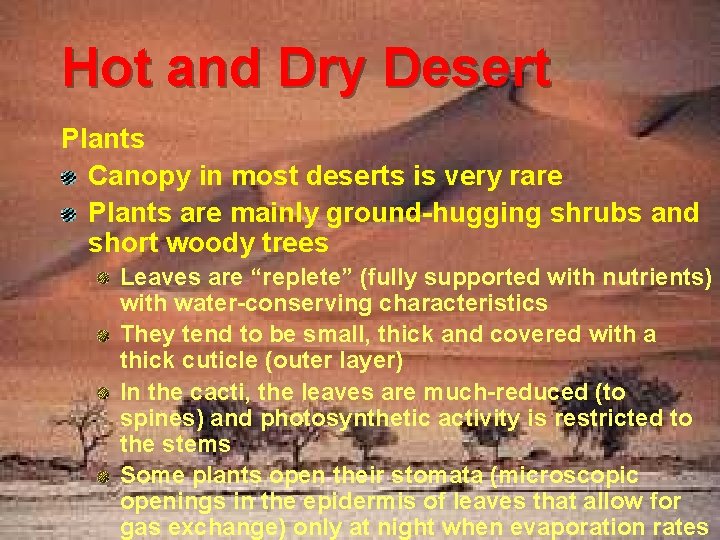 Hot and Dry Desert Plants Canopy in most deserts is very rare Plants are