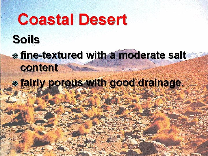 Coastal Desert Soils fine-textured with a moderate salt content fairly porous with good drainage.
