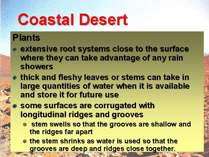 Coastal Desert Plants extensive root systems close to the surface where they can take